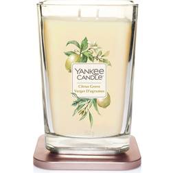 Yankee Candle Citrus Grove Large 2 Wick Scented Candle 552g