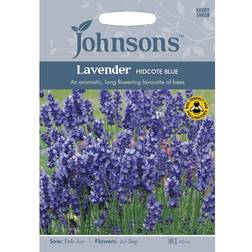 Johnsons Seeds Lavender Hidcote Strain 100 Seeds