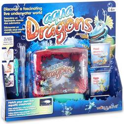 Aqua Dragons Underwater World