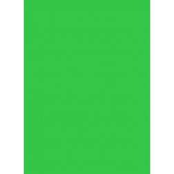 Colorama Colormatt Background 1x1.3m Spring Green