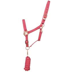 Hy Rose Gold Head Collar & Lead Rope