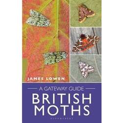 British Moths (Spiral-bound)