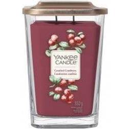 Candied Cranberry Large Scented Candle 552g