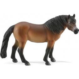Collecta Exmoor Pony Stallion Figurine
