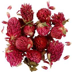 The Works Dried Red Clover Flowers