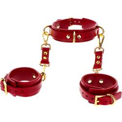 Taboom D-Ring Collar and Wrist Cuffs