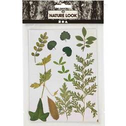 Creativ Company Pressed leaves, green, 1 pack