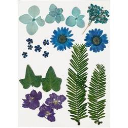 Creativ Company Pressed Flowers and leaves, blue, 19 asstd. 1 pack