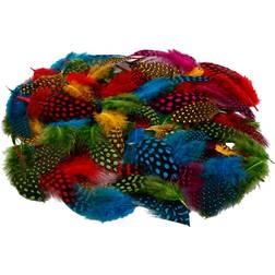 Creativ Company Guinea fowl feathers, assorted colours, 50 g/ 1 pack