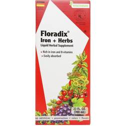 Floradix Iron & Herbs 23 fl oz