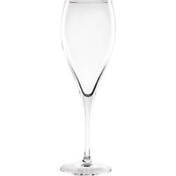 Olympia Cocktail Champagne Glass 17cl 12pcs