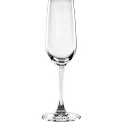 Olympia Mendoza Champagne Glass 18.5cl 6pcs
