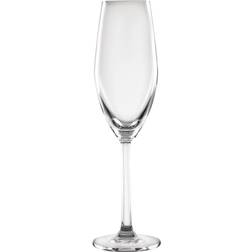 Olympia Cordoba Champagne Glass 21cl 6pcs
