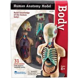 Learning Resources Anatomy Model Human Body