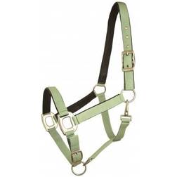 Gatsby Halter with Padded Leather Overlay