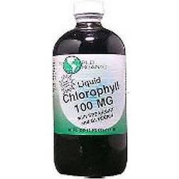 World Organic Liquid Chlorophyll with Spearmint and Glycerin 100 mg 16 fl oz
