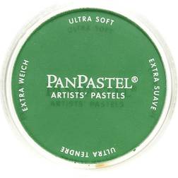 PanPastel Artists' Pastels permanent green shade 640.3 9 ml