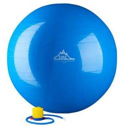 65cm Gym Ball 65 cm. Static Strength Exercise Stability Ball