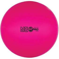 Champion Sports 65 cm Fitpro Training and Exercise Ball in