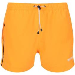 Regatta Men's Rehere Shorts