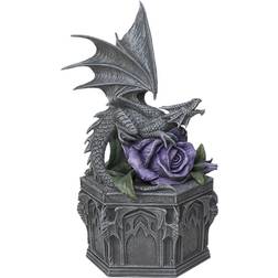 Anne Stokes Dragon Beauty Box Sculptures grey purple