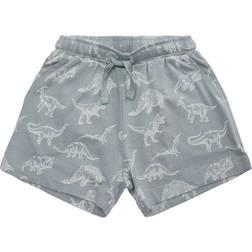 Petit by Sofie Schnoor Shorts - Dusty Blue (P222512-5068)