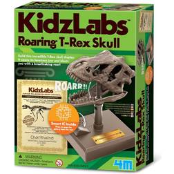 4M KidzLabs Roaring T-Rex Skull