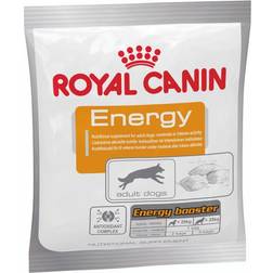 Royal Canin Training Adult Dry Dog Food