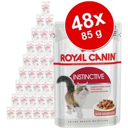 Royal Canin Indoor Sterilised 7+ gelé
