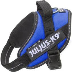 Julius-K9 Blue Dog Harness, Small