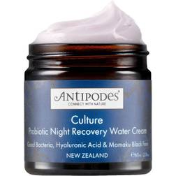 Antipodes Facial care Moisturiser Culture Probiotic Night Recovery Water Cream