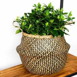 Ivyline Seaweed Chevron Basket 35cm 35cm