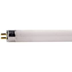 Crompton 8W T5 12" Fluorescent Bulb Cool White