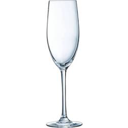 ARC - Champagne Glass 24cl