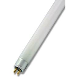 Crompton 13W T5 21" Fluorescent Bulb Cool White