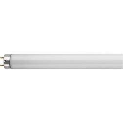 Crompton 15W T8 Fluorescent Tube Triphosphor High Output Lighting Cool White
