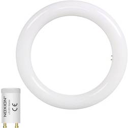 Osram LED (monochrome) EEC: E (A G) G10q Ring shape CB 12 W = 22 W Cool white (Ø) 212 mm 1 pc(s)