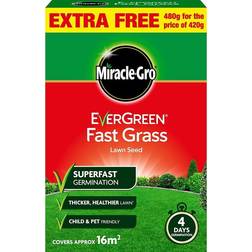 Miracle-GroÂ® Fast Grass Seed Promo