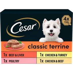 Cesar Classic Terrine Dog Food Trays 4