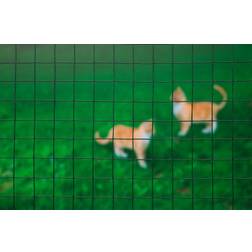 Nature Wire Mesh Square 1x2.5m 25mm Coated