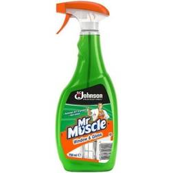 Mr Muscle Window Cleaner Trigger spray