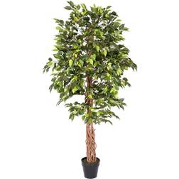 Homescapes Artificial Ficus Tree with Twisted Real Wood Trunk, 6 Christmas Tree