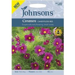 Johnson's Flower Seeds Dwarf Cosmos