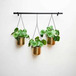 Joules Clothing Ivyline Linear Hanging Planters