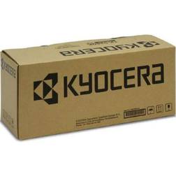 Kyocera drum