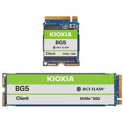 Kioxia BG5 Series SSD 256 GB inbyggd M.2 2280