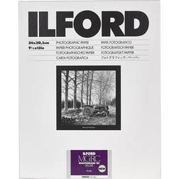 Ilford 1x 10 MG RC DL 44M 24x30