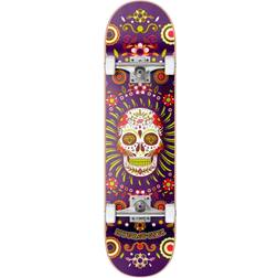 Hydroponic Komplet Skateboard Mexican (Purple Skull) Lilla 8.125"