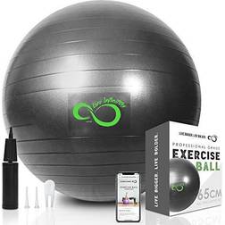 Live Infinitely Exercise Ball Extra Thick Workout Pregnancy Ball Chair for Home Workout (Gray 95cm)