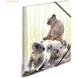 Herma Koala Familie Konventionel mappe